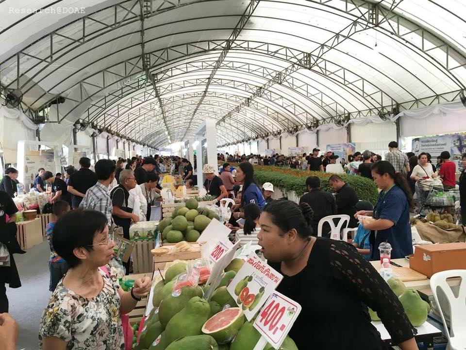 38996273_1940473542662562_1620294803465961472_n