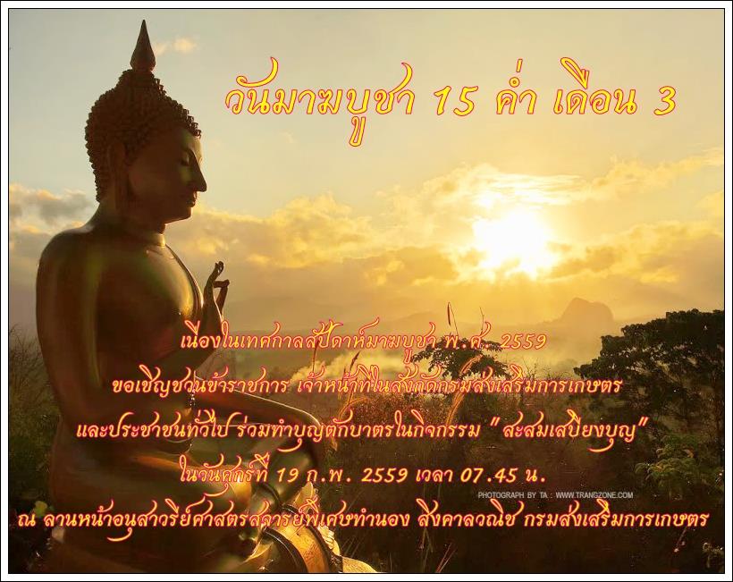 6899_1051176378258954_6070761642095608237_n